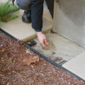 Concrete pavers set in 4 inches of sand provide a pest-resistant ground break at the building perimeter.