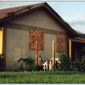 Plywood or OSB panels are a cost-effective way to protect windows from wind-borne debris. 