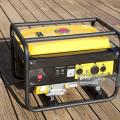 Portable gasoline-powered generators like this one can power smaller emergency cooling and refrigeration loads 