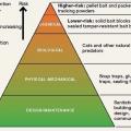 Pyramid of IPM Tactics for Mice