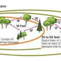 Recommended tree spacing for wildfire resistance within the three defensible space zones (Source: Preparing Homes for Wildfire