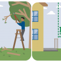 Right – Trimming tree branches a minimum of 10 feet from the house or any attached structures reduces the risk of home ignition.