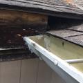 Missing step flashing and kickout flashing caused rotting of wall and roof sheathing, fascia, framing, and plywood cover below the eave at this complicated roof juncture.