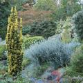 Shrubs, trees, and herbs create a tight network of roots and stems that bind the soil and slow the flow of water down hillsides.