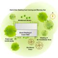 Careful landscaping can preserve roof-top solar exposure and provide shading to help control solar gain through windows.