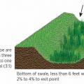 Swales are trapezoidal channels dug to receive storm-water overflow, with specific vegetation planted to improve aesthetics, filter stormwater runoff, and prevent erosion. 
