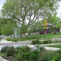 Swales reduce and filter stormwater runoff.