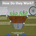 Swales are troughs that collect site stormwater and filter it with vegetation, soil, and gravel layers. 