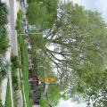 Vegetated swales, pervious pavers, pocket parks, and retention of existing trees all help to minimize runoff and lessen impacts on municipal sewer systems.