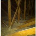 Right - Closed-cell spray foam covers the ceiling and joists to insulate and air-seal the ceiling deck.