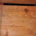 Termite mud tubes on floor joists indicate the presence of termites in the crawlspace 