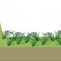 Trapezoid swale design