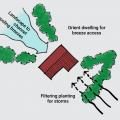 Landscape trees and shrubs to funnel cooling breeze towards a home in hot climate zones. 