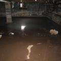 Wrong – This vented crawlspace has standing water because steps were not taken to address site conditions that led to bulk water flow into the crawlspace