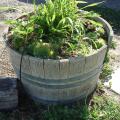 Micro-irrigation provides water directly to plants at the roots.