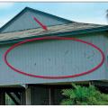 This home was hit by wind-borne debris including asphalt shingles blown off neighboring homes, in 140 to 150 mph hurricane winds. 