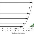 Wind speeds increase significantly with height above ground