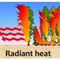 Windblown embers and firebrands are the most common cause of structural fires in wildfires, followed by fires started by radiant heat igniting surfaces or breaking windows and allowing embers in, followed by direct flame contact 