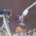 Wire hardware mesh is fastened with a staple gun and screws to the wall to prevent pests from entering the building through small holes and cracks