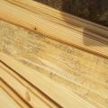 Wrong - Construction materials show signs of mold.