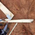Wrong - Cracked and split lumber should not be used for framing or trusses.