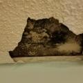 Wrong - Stucco has rotted and cracked above a window because of water damage due to lack of proper flashing and drainage.