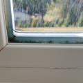 Wrong - Water has leaked into the window assembly and has not been able to drain out, possibly due to blocked weep holes; thus, mold and moss are growing in the window assembly.