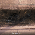 Wrong – Airborne embers can float into holes in damaged vent screens and ignite flammable items in the house or accumulated debris in the vent. 