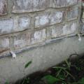 Weep holes: Rope inserted in the head joist between bricks will allow water to weep out of the base of the wall assembly