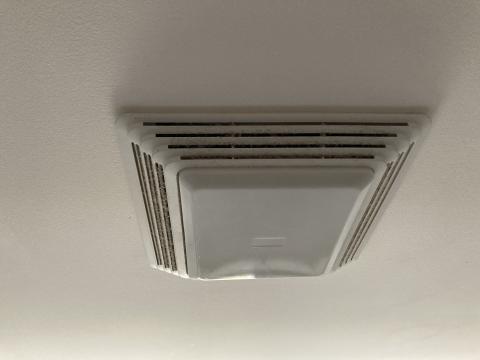 This bathroom exhaust fan includes a fan and light