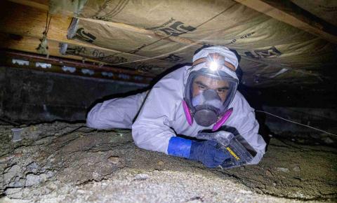 Example of full personal protective equipment (PPE) for crawlspace inspection: full coverage coverall with hood, properly fitted half-mask respirator and safety glasses or a full-face respirator, gloves, kneepads, and headlamp.