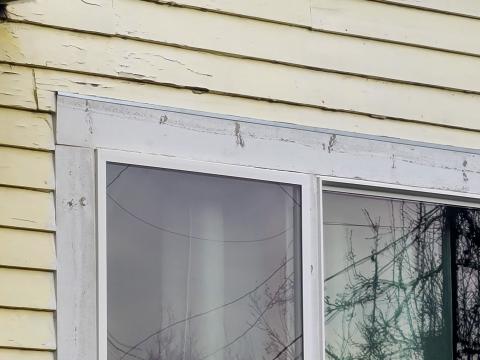 Peeling paint and warping siding above this window are indicative of moisture and should be investigated.