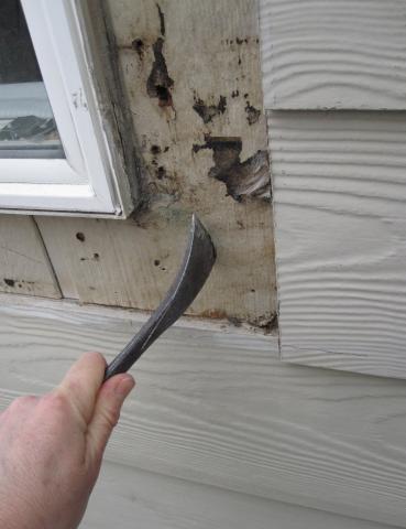 New siding was installed over old siding, but no flashing or trim was installed and the old siding became saturated when water leaked around the windows.