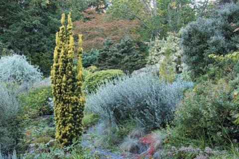 Shrubs, trees, and herbs create a tight network of roots and stems that bind the soil and slow the flow of water down hillsides.