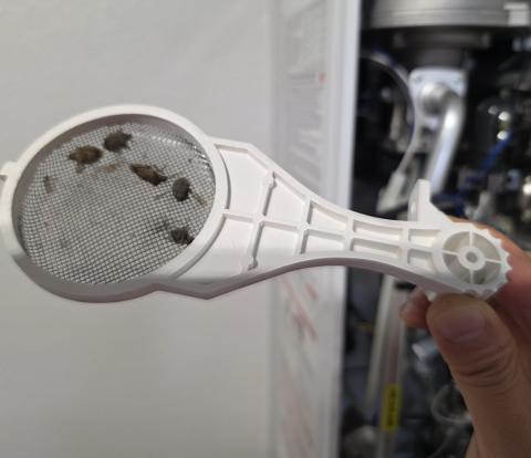 Bugs managed to get trapped in the air filter of this tankless water heater.