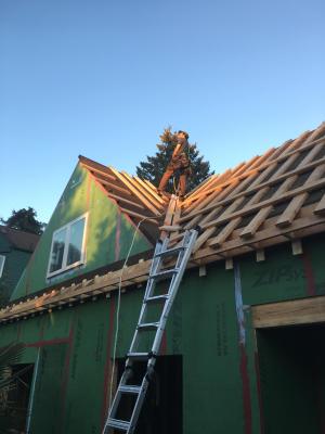 Right – Battens are installed above the cork insulation to provide a ventilating layer between the insulation and the roof sheathing and cladding. 