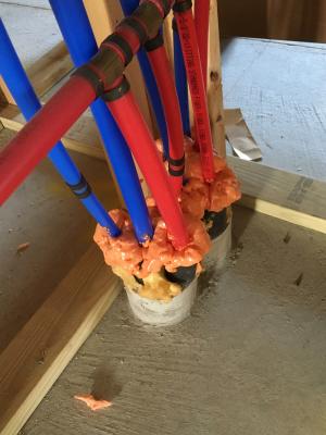 Right – Spray foam is used to seal around PEX plumbing pipes.