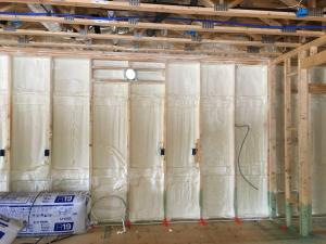 Right – the 2x6 walls are insulated with a flash-and-batt approach that includes spraying the wall cavities with one inch of open-cell foam to seal the sheathing to the framing then filling the wall cavities with R-19 fiberglass batts that are compressed slightly to fill the cavities.