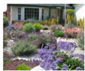 Mulch can reduce erosion and help retain moisture.