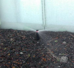 This sprinkler was placed too close to the house’s foundation wall.