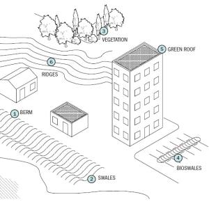 Berms, swales, bioswales, ridges, and vegetation all help to control rainwater runoff on residential sites.