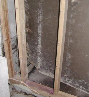 When condensation forms on the interior side of wall sheathing and is not able to dry out, it can lead to mold growth and rotting of wall sheathing and framing