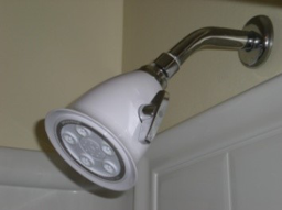 Plumbing leaks can occur in showerheads.