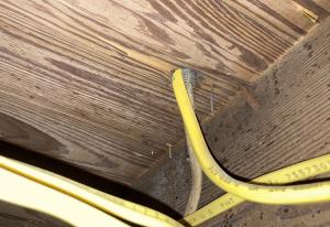 Electrical wires for outlets often penetrate the subfloor where there is a wall directly above.