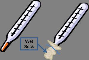 Thermometer used to measure dry-bulb temperature