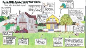 Steps homeowners can take to make their homes and yards less welcoming to rats