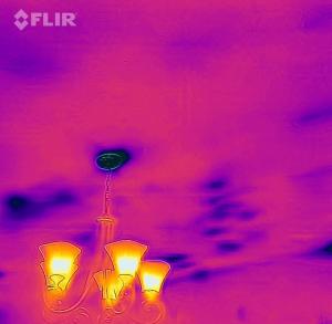 The dark spots on the ceiling in this infrared camera image likely indicate missing or displaced attic insulation.