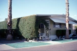 Right - Dense vines growing on a covered trellis along the west side of this home provide effective shade for the wall and windows and create a shaded, protected walkway and outdoor seating area.