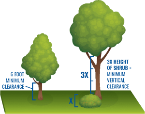 Minimum vertical clearance between trees and plants for wildfire resistance