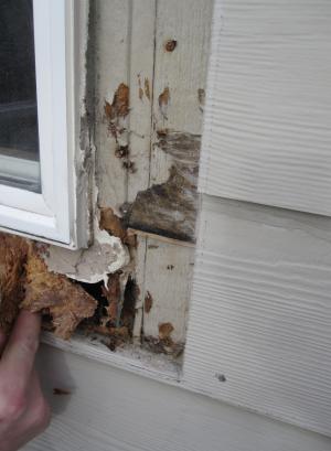 Missing flashing around windows can allow water to get into the wall causing extensive damage to wall materials.